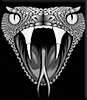 cropped head sneak logo 1