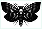 cropped logom 1